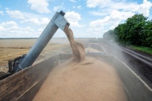 تصدير الحبوب 23 1 اخبار اقتصادية والعملات الرقمية والذكاء الاصطناعي