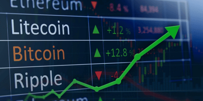 كيف تستثمر في المحافظ المالية؟ وكيف تنوع استثماراتك؟ 1 36mjl0pc