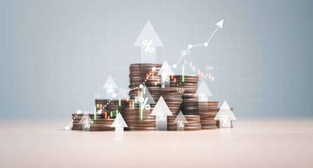 istockphoto 1497523095 612x612 1