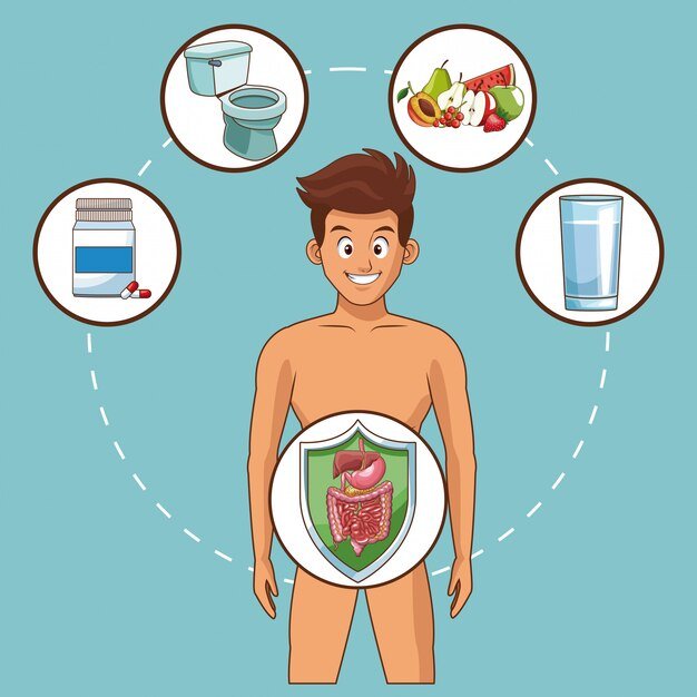 صحة الأمعاء: مفتاح العافية والرفاهية 3 أفضل الأطعمة والمكملات لصحة الأمعاء