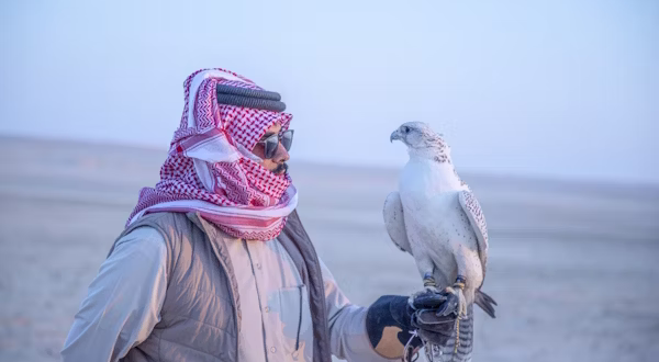 الشتاء السعودي: سياحة بروح الصحراء والبحر