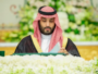 مجلس الوزراء محمد بن سلمان